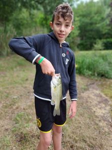 Largemouth Bass