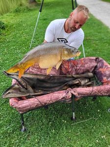 Mirror Carp