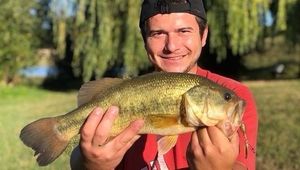 Largemouth Bass