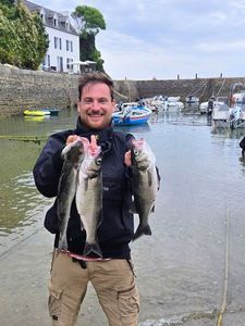 European Bass (Seabass)