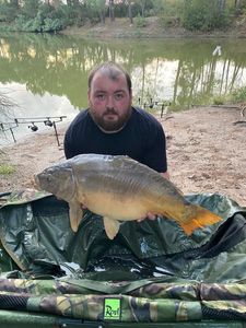 Mirror Carp