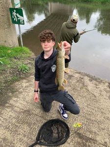 Northern Pike