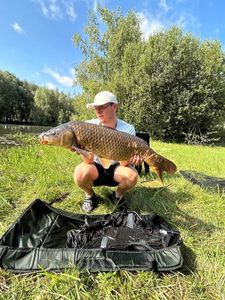 Common Carp