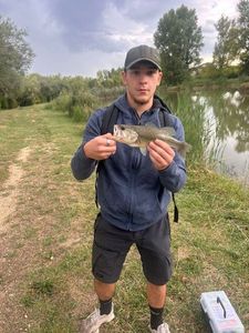 Largemouth Bass