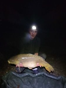 Mirror Carp