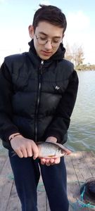 Roach