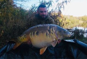Mirror Carp