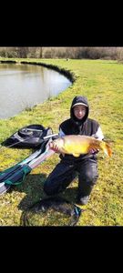Leather Carp