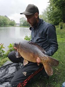 Mirror Carp