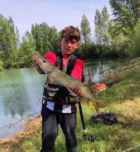 Northern Pike