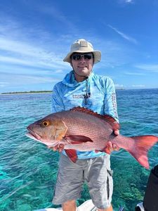 African Red Snapper