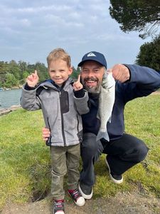 European Bass (Seabass)