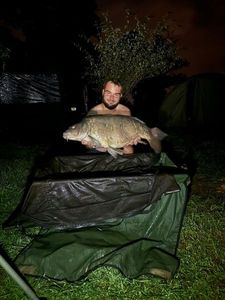 Mirror Carp