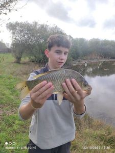 Crucian Carp