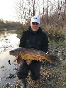 Common Carp