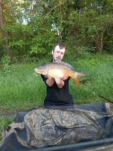 Mirror Carp