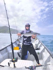 Pacific Sierra Mackerel