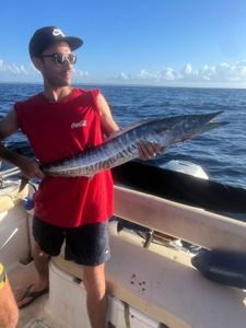 Wahoo