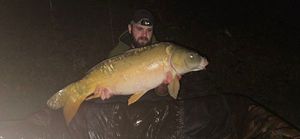 Mirror Carp