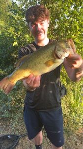 Largemouth Bass