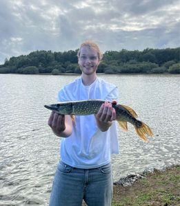 Northern Pike