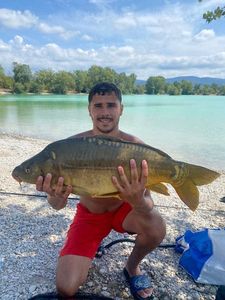 Mirror Carp