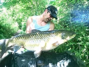 Grass Carp