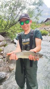 Rainbow Trout