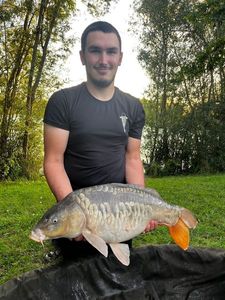 Mirror Carp