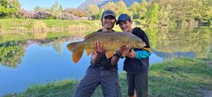 Common Carp