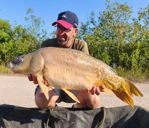 Mirror Carp