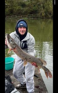 Northern Pike