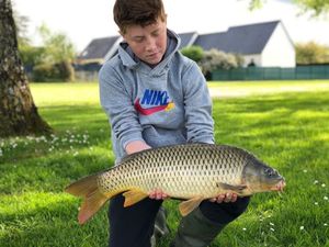 Common Carp