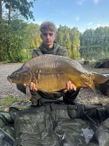 Mirror Carp
