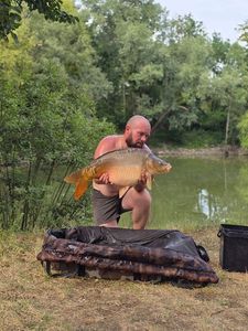 Mirror Carp