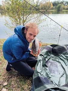 Mirror Carp