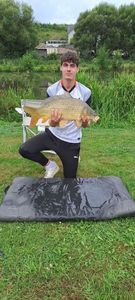 Common Carp