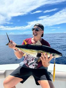 Yellowfin Tuna