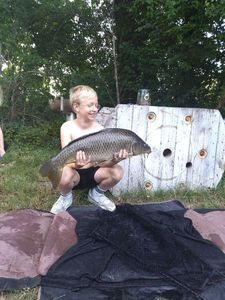 Common Carp