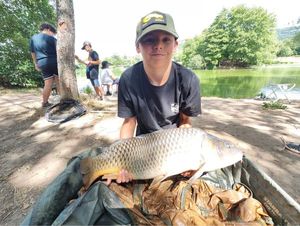 Common Carp