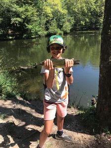 Largemouth Bass