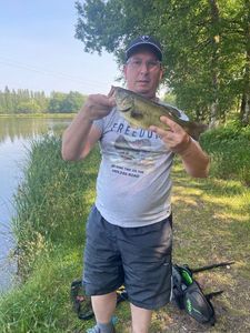 Smallmouth Bass