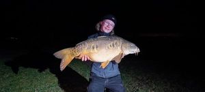 Mirror Carp