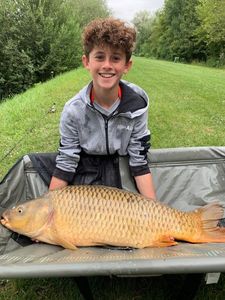 Common Carp