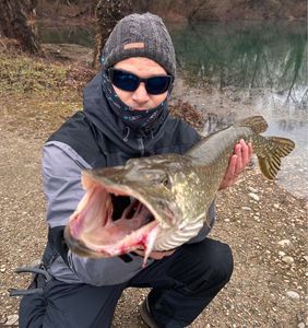 Northern Pike