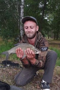 Common Bream
