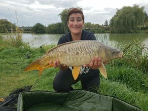Mirror Carp