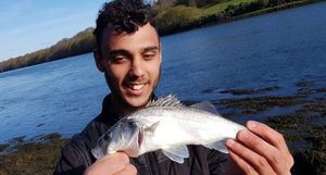 European Bass (Seabass)