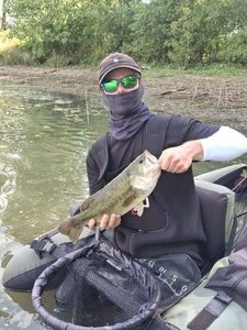 Smallmouth Bass