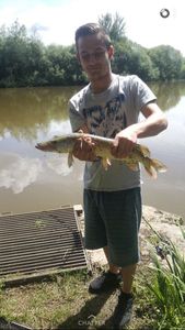 Northern Pike